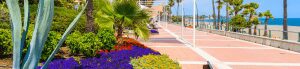 Property in Estepona: Where should I live in the garden city?